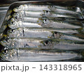 釣ったイワシを金属製のトレイに並べたマクロ写真 143318965