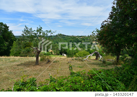 フランス・ペルージュ村周辺の田園風景(2020年7月14日) フランス・ペルージュ村周辺の田園風景(2020年7月14日) 143320147