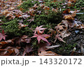 落ち葉と苔 143320172