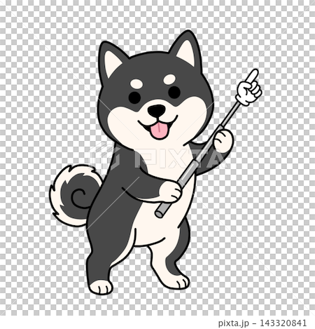 An illustration of a cute black Shiba Inu (Shiba Inu) holding a pointer and giving directions and explanations. An illustration of a cute black Shiba Inu (Shiba Inu) holding a pointer and giving directions and explanations. 143320841