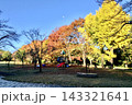 色鮮やかな紅葉に囲まれた秋の公園と遊具、青空に浮かぶ月の風景 143321641