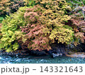 秋の山間を流れる青緑色の清流と赤や黄色に色づいた木々の紅葉が美しい渓流風景 143321643