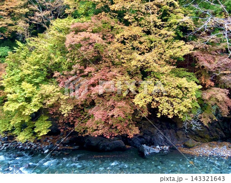 秋の山間を流れる青緑色の清流と赤や黄色に色づいた木々の紅葉が美しい渓流風景 143321643