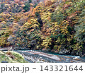 秋の山間を流れる川と紅葉に彩られた渓谷の風景、赤や黄色に色づく森林と河原 143321644