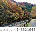 秋の紅葉に彩られた山間の渓流と川沿いの散策路、赤や黄色に色づく森林が広がる自然風景 143321645
