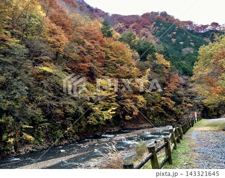 秋の紅葉に彩られた山間の渓流と川沿いの散策路、赤や黄色に色づく森林が広がる自然風景 秋の紅葉に彩られた山間の渓流と川沿いの散策路、赤や黄色に色づく森林が広がる自然風景 143321645