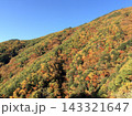 秋の山を彩る紅葉の風景、青空の下に広がる黄色やオレンジ、赤に染まった山肌と豊かな森林 143321647