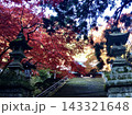 紅葉に彩られた寺社の石段と石灯籠、赤や黄色に色づくモミジに囲まれた日本の秋の風景 143321648