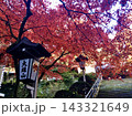 大雄山の寺院を彩る鮮やかな秋の紅葉と石灯籠、赤いモミジに包まれた石段と山寺の風景 143321649