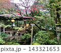 色づくモミジと苔に包まれた秋の日本庭園、木造の東屋と石灯籠、池を泳ぐ赤い鯉が調和する和の風景 143321653
