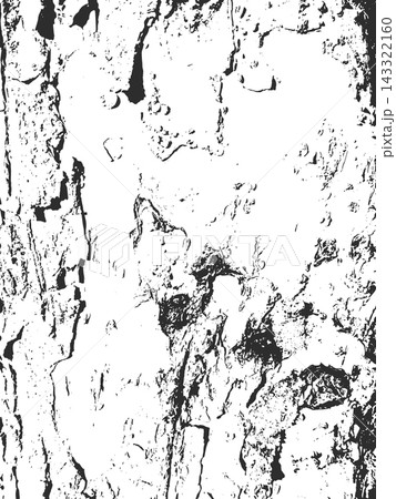Grunge Texture Rough Tree Bark with Deep Crevices Forms a Natural Pattern 143322160