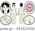 顔と体メインのコミュニケーションボード女性色あり 143322628