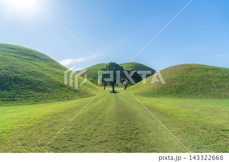 Scenic View of Hwangnamdaechong Ancient Tombs and Green Trees at Daereungwon Tomb Complex in Gyeongju, South Korea 143322668