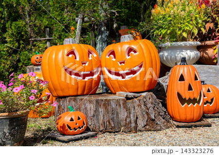 ハロウィンのかぼちゃと秋の風景 ハロウィンのかぼちゃと秋の風景 143323276