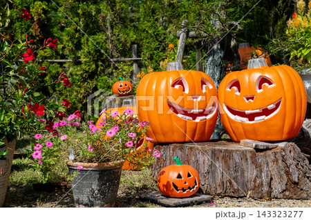 ハロウィンのかぼちゃと秋の風景 143323277