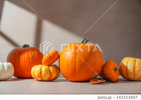 Autumn pumpkins, orange, yellow and white pumpkins in warm natural sunlight, rustic seasonal still life with fallen leaves. Halloween, Thanksgiving mockup Autumn pumpkins, orange, yellow and white pumpkins in warm natural sunlight, rustic seasonal still life with fallen leaves. Halloween, Thanksgiving mockup 143323607