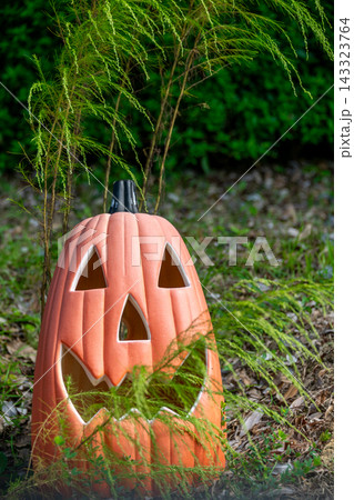 ハロウィンのかぼちゃと秋の風景 143323764