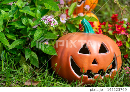 ハロウィンのかぼちゃと秋の風景 ハロウィンのかぼちゃと秋の風景 143323769
