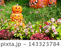 ハロウィンのかぼちゃと秋の風景 143323784