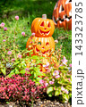 ハロウィンのかぼちゃと秋の風景 143323785