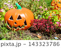 ハロウィンのかぼちゃと秋の風景 143323786