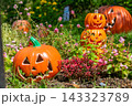 ハロウィンのかぼちゃと秋の風景 143323789