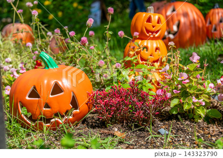 ハロウィンのかぼちゃと秋の風景 143323790