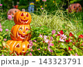 ハロウィンのかぼちゃと秋の風景 143323791
