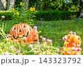 ハロウィンのかぼちゃと秋の風景 143323792