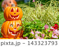 ハロウィンのかぼちゃと秋の風景 143323793