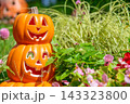 ハロウィンのかぼちゃと秋の風景 143323800
