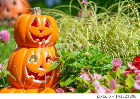 ハロウィンのかぼちゃと秋の風景 143323800