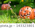 ハロウィンのかぼちゃと秋の風景 143323801