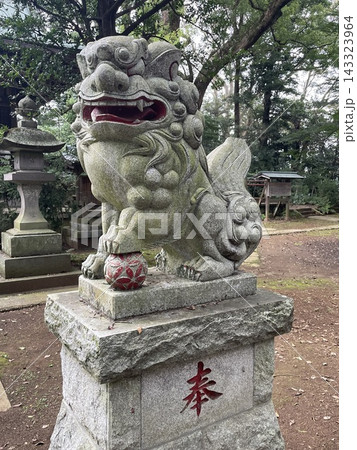 神社にある狛犬 143323964