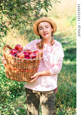 Woman holding large basket full of freshly picked red apples standing in orchard during harvest Woman holding large basket full of freshly picked red apples standing in orchard during harvest 143324041
