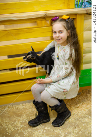 Smiling girl sitting on green bench petting small black and white goats Smiling girl sitting on green bench petting small black and white goats 143324121