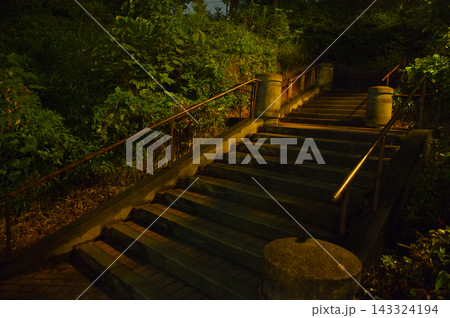 志村坂上の夜景 143324194
