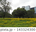 浜離宮恩賜庭園の緑と汐留の高層ビル群 143324300