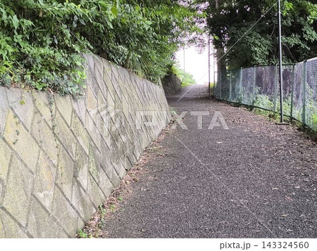 緑に囲まれたコンクリート擁壁の坂道・生活道路の風景 143324560