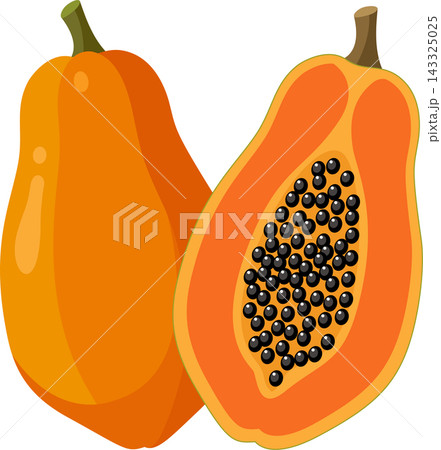 Illustration of one whole papaya on the left and one sliced papaya half with small black seeds.  143325025