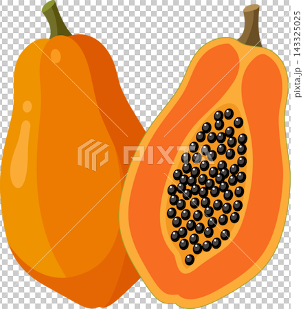 Illustration of one whole papaya on the left and one sliced papaya half with small black seeds.  143325025