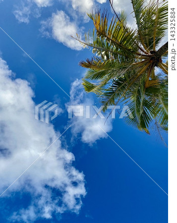 Coconut palm fronds frame vivid blue tropical sky with drifting clouds. Coconut palm fronds frame vivid blue tropical sky with drifting clouds. 143325884