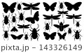 Set of black insect silhouettes featuring various beetles butterflies and dragonflies in flat artistic style 143326149