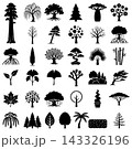 Set of black tree silhouettes featuring various species in a simple minimalist vector icon collection 143326196