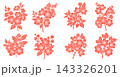Set of blooming cherry blossom flower branches in flat vector style for seasonal botanical design assets 143326201