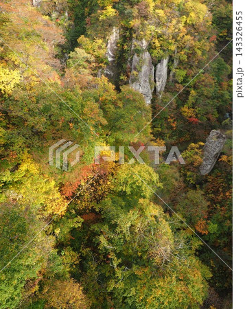 紅葉の渓谷にそびえる白い奇岩 鳴子峡を見下ろす 縦構図 143326455