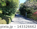 進雄神社、参道【群馬・高崎市】 143326662