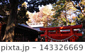 進雄神社、境内【群馬・高崎市】 143326669