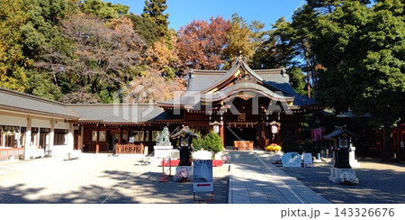 進雄神社、境内【群馬・高崎市】 進雄神社、境内【群馬・高崎市】 143326676