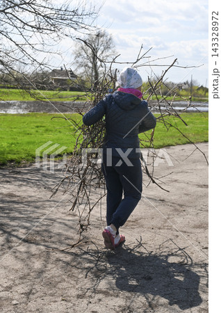 young woman carries a heavy pile of dry branches outdoors. young woman carries a heavy pile of dry branches outdoors. 143328972
